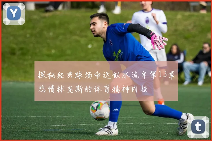 探秘经典球场命运似水流年第13章悲情林克斯的体育精神内核